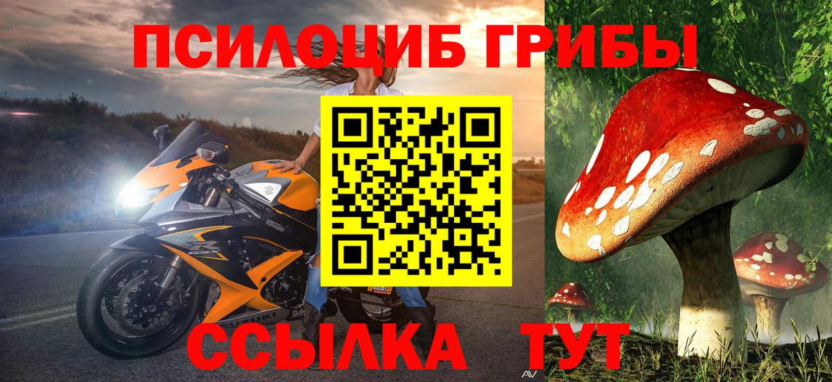 Унеча  наркотики  Вход с VPN  Псилоцибиновые грибы Magic Shrooms 