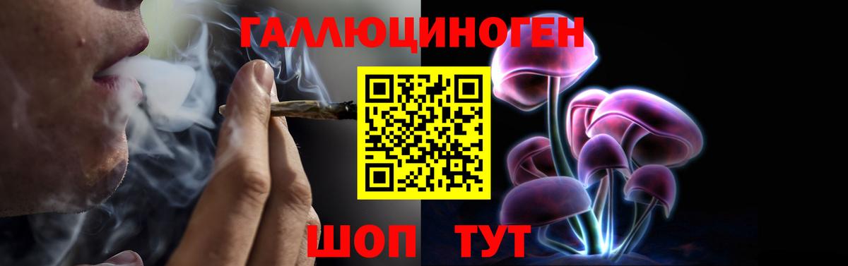 Псилоцибиновые грибы GOLDEN TEACHER Унеча